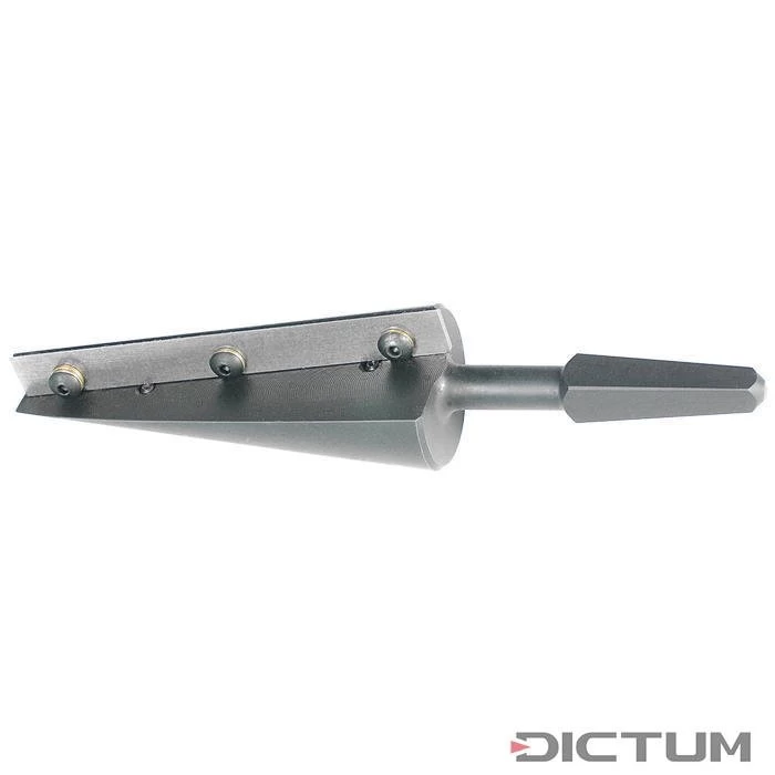 Foret à Cône Veritas