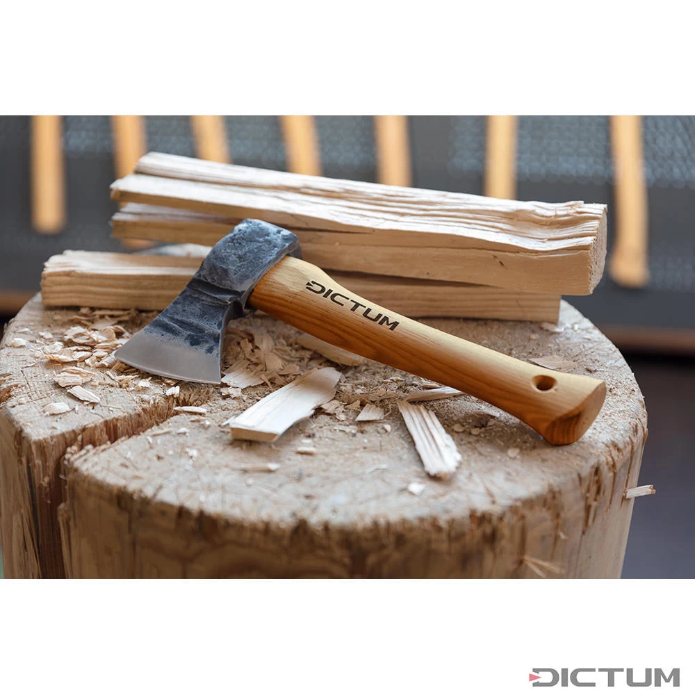 Hachette DICTUM Avec étui En Cuir 3 Hachette DICTUM Avec étui En Cuir – Image 3