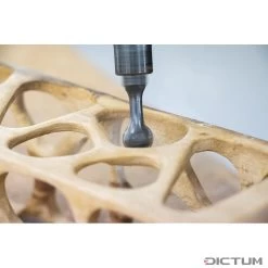 Arbortech Precision Ball Gouge (gouge Creuse Sphérique De Précision) -Magasin D'outils 715983 03 A WE 8 Arbortech Precision Ball Gouge WZ jpg c1