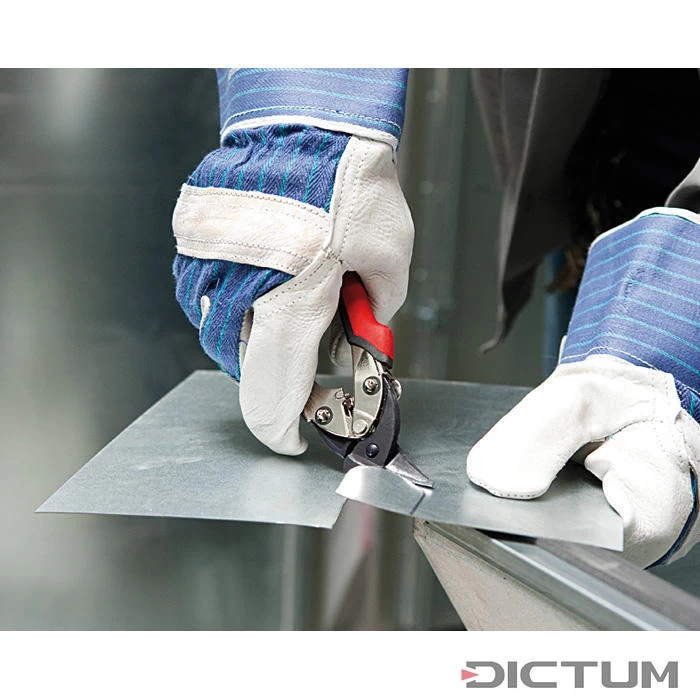 Cisaille à Tôle Polyvalente Erdi 2 Cisaille à Tôle Polyvalente Erdi – Image 2