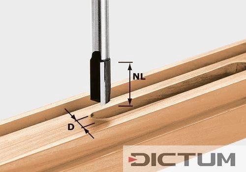Festool Fraise à Rainurer HW S8 D10/25